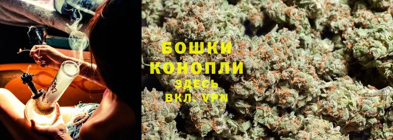 Бошки марихуана SATIVA & INDICA  Костомукша 